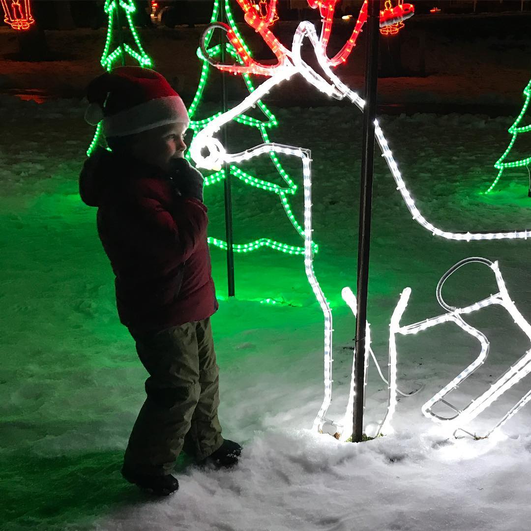 Lakeside Festival Of Lights - Christmas Light Displays Near Toronto